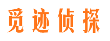 新洲市出轨取证